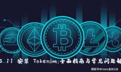 iOS 11 安装 Tokenim：全面指南与常见问题解析