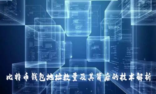 比特币钱包地址数量及其背后的技术解析